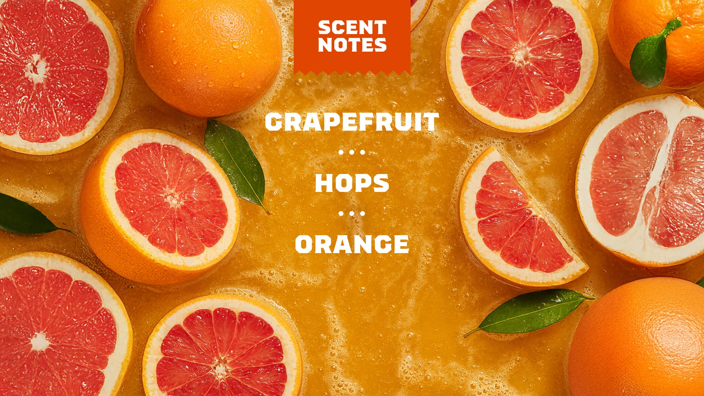 Grapefruit IPA - Image 4