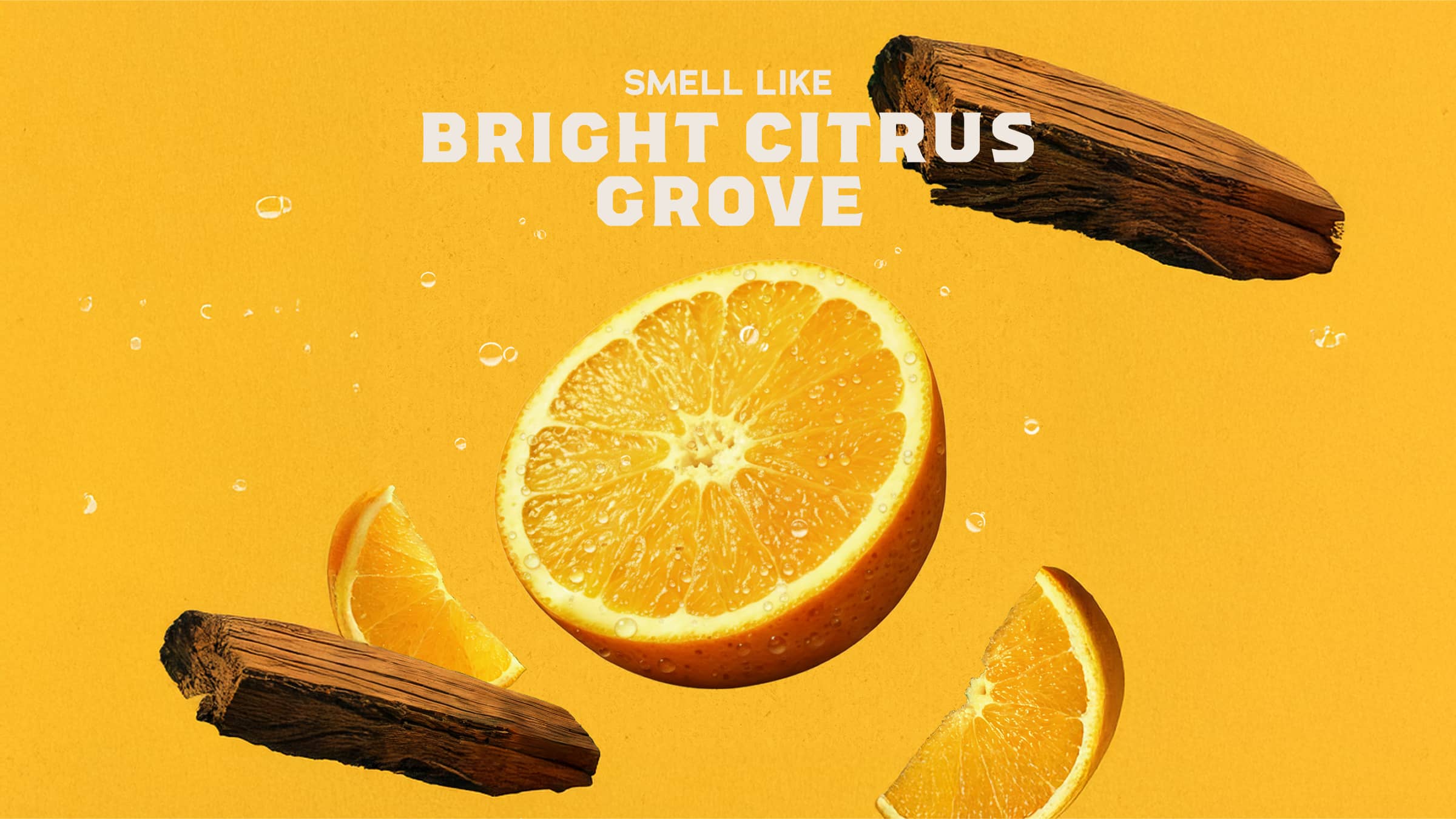 Summer Citrus - Image 3