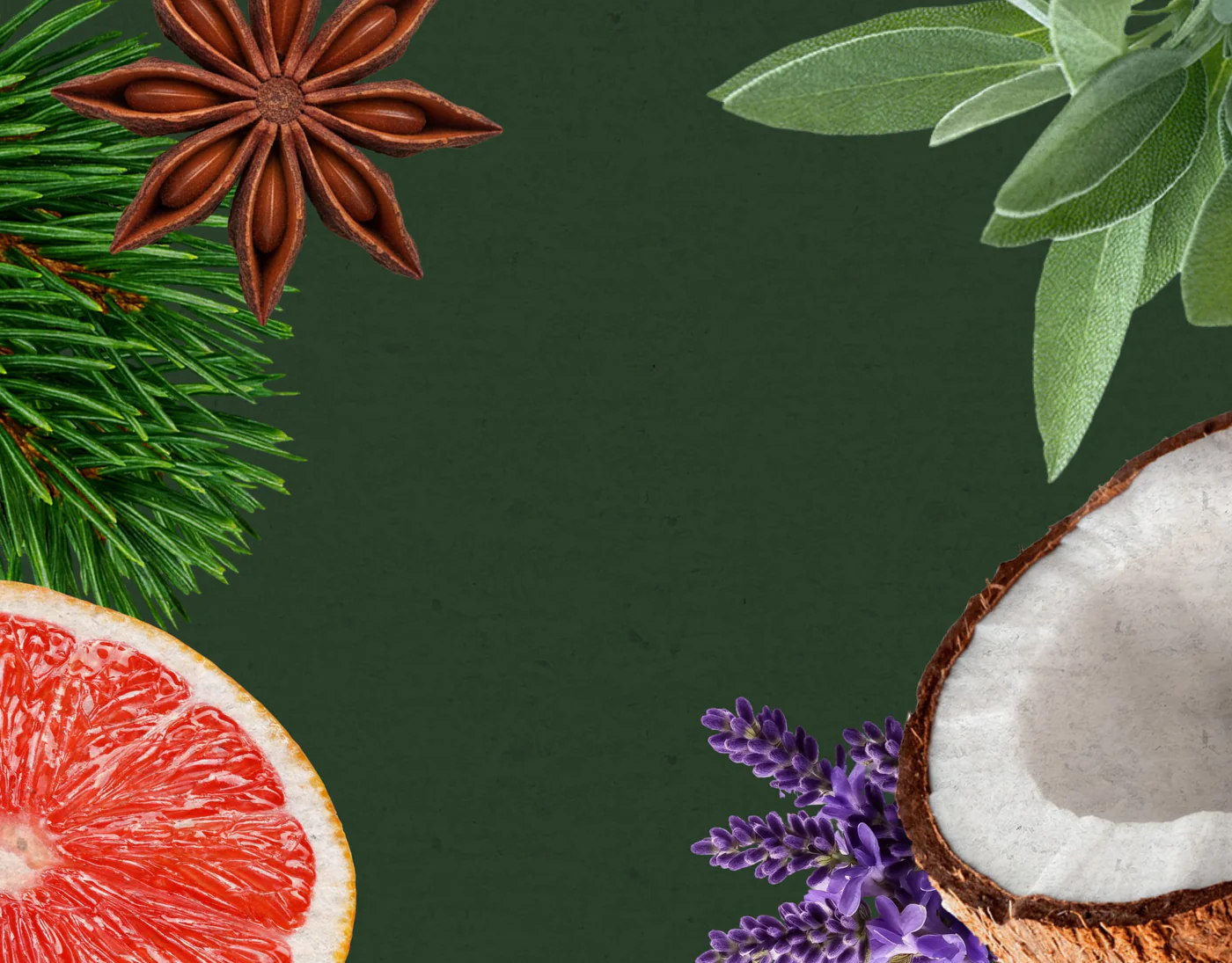 Find Your Scent Banner